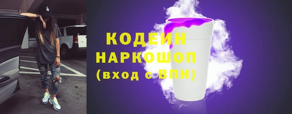 крисы Надым