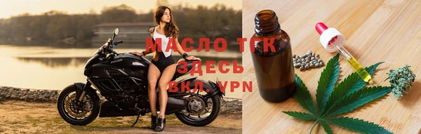 крисы Надым