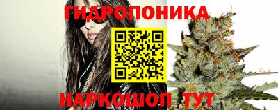шишки Рязань